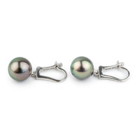Pink Peacock Tahitian Pearl Lever Back Earrings