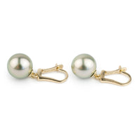 Golden Green Tahitian Pearl Lever Back Earrings