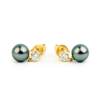 Tahitian Pearl & Diamond Nova Earrings on 14K Yellow Gold