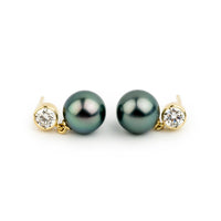 Tahitian Pearl & Diamond Nova Earrings on 14K Yellow Gold