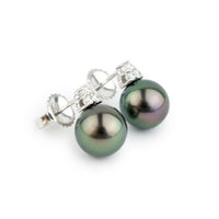 Plum Peacock Tahitian Pearl & Diamond Toru Earrings on 14K White Gold