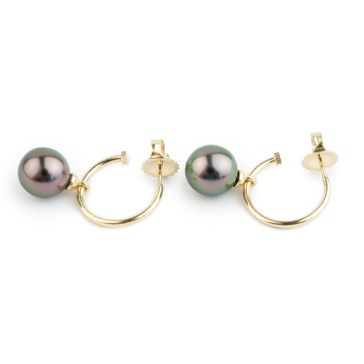 Pink Peacock Tahitian Pearl Hoop Earrings on 14K Yellow Gold