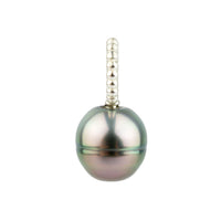Pink-Green Circled 9.5mm Tahitian Pearl Pendant on Sterling Silver