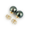 Blue-Green 9.2-9.6mm Tahitian Pearl Stud Earrings
