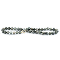 Tropical Midnight 10-13mm Tahitian Pearl Strand