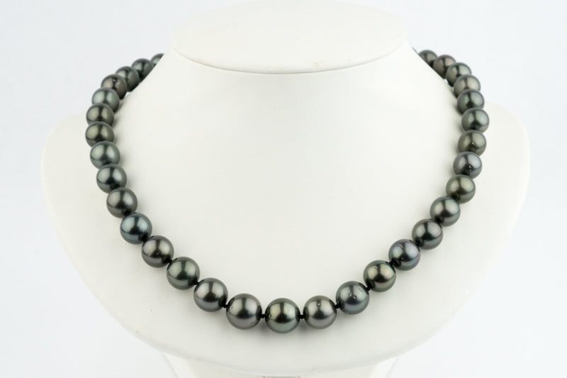 Tropical Midnight 10-13mm Tahitian Pearl Strand