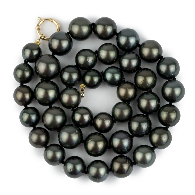 Tropical Midnight 10-13mm Tahitian Pearl Strand