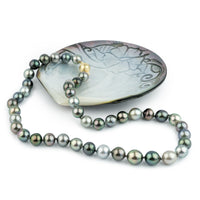 Colors of Polynesia 9-11.3mm Tahitian Pearl Strand