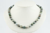 Colors of Polynesia 9-11.3mm Tahitian Pearl Strand