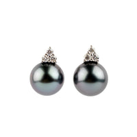 Tropical Midnight Tahitian Pearl & Diamond Toru Earrings on 14K White Gold