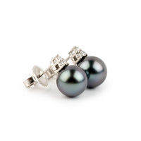 Tropical Midnight Tahitian Pearl & Diamond Toru Earrings on 14K White Gold