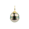 Golden Pink Peacock Circled 10mm Tahitian Pearl Pendant on Gold Filled