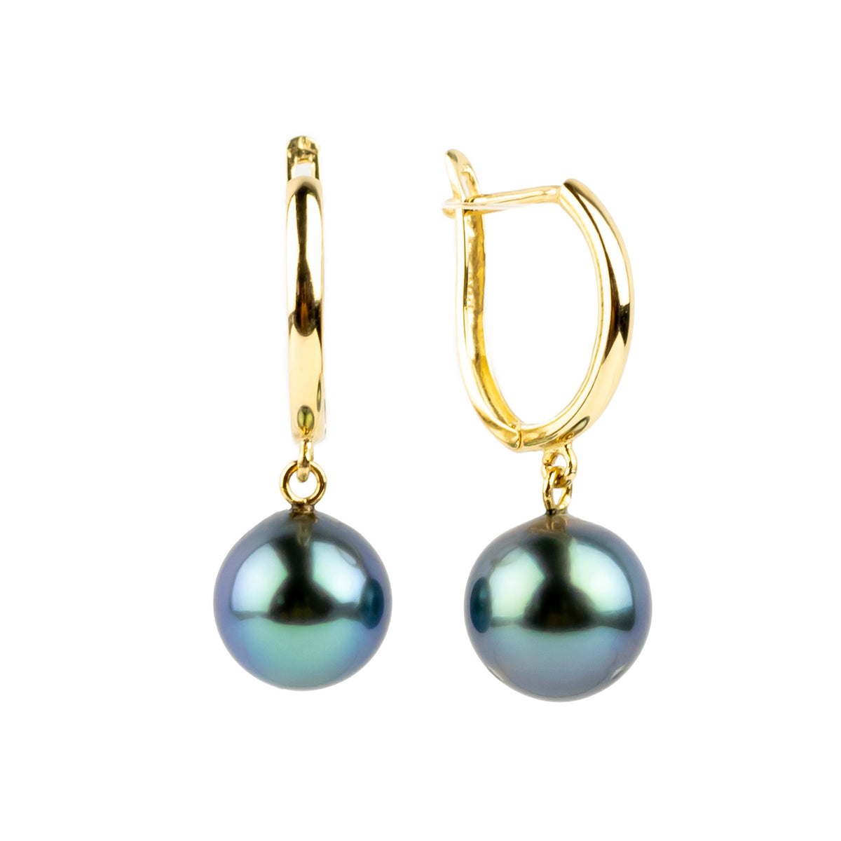 Royal Blue Green 8.2mm Tahitian Pearl U-Hoop Earrings on 14K Yellow Gold