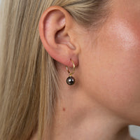 Pink Peacock Tahitian Pearl Hoop Earrings on 14K Yellow Gold
