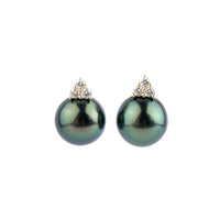 Indigo Peacock Tahitian Pearl & Diamond Toru Earrings on 14K Yellow Gold