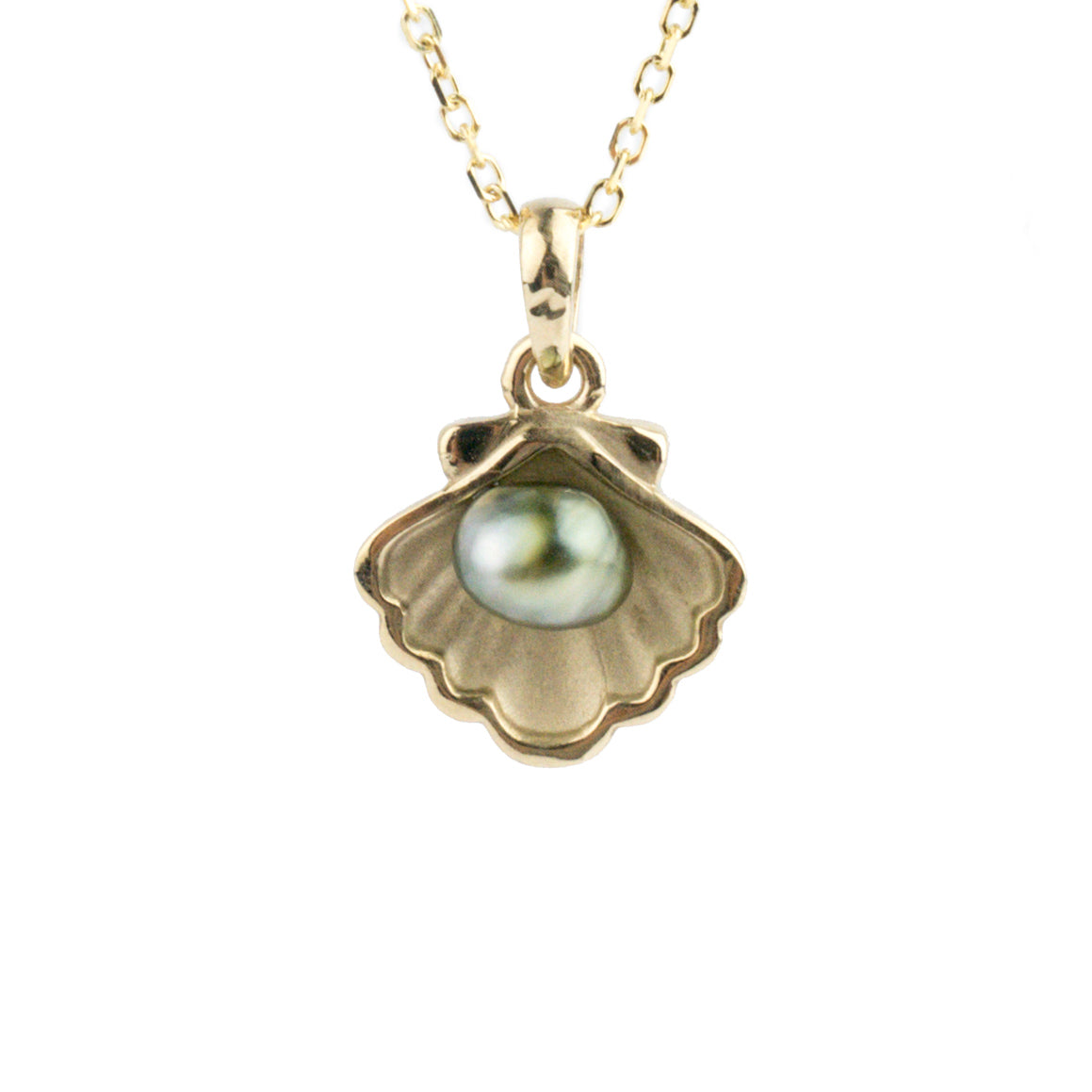 Tahitian Keshi Pearl 14K Yellow Gold Seashell Necklace – Kamoka Pearl