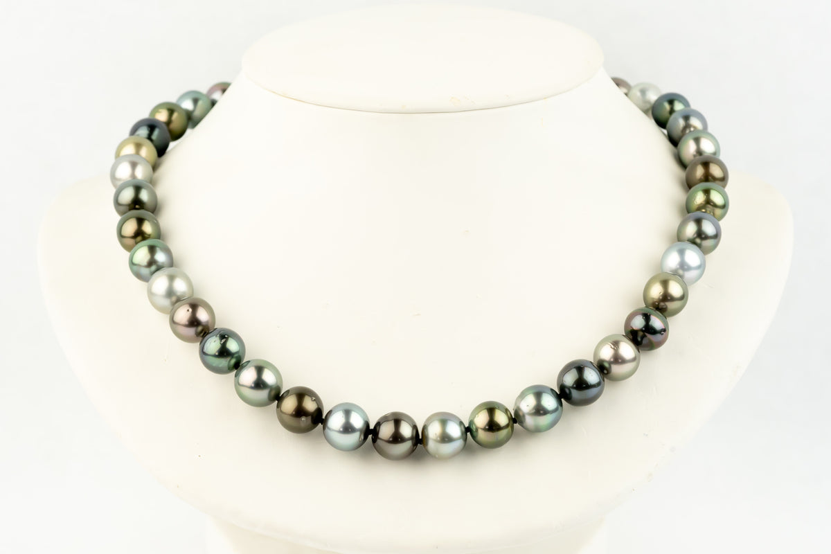 Bird of Paradise 10-11.9 Tahitian Pearl Strand