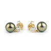 Tahitian Pearl & Diamond Nova Earrings on 14K Yellow Gold