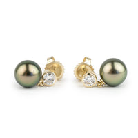 Tahitian Pearl & Diamond Nova Earrings on 14K Yellow Gold