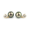 Tahitian Pearl & Diamond Nova Earrings on 14K Yellow Gold