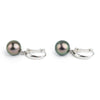 Aubergine Peacock 10.4mm Tahitian Pearl Lever-Back Earrings on Sterling Silver