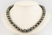 Pink Chrome 10.9-12.8mm Tahitian Pearl Strand