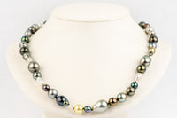 Tahitian Pearl Harvest Strand