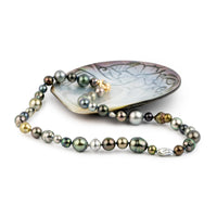 Tahitian Pearl Harvest Strand