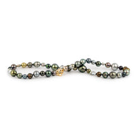 Tahitian Pearl Harvest Strand