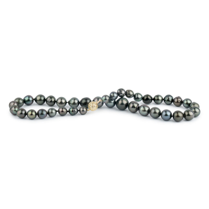 Black Sand Beach 8.2-12.8mm Tahitian Pearl Strand