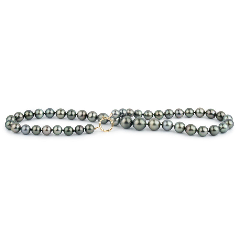 Stormy Blue-Green 9-12.7mm Tahitian Pearl Strand