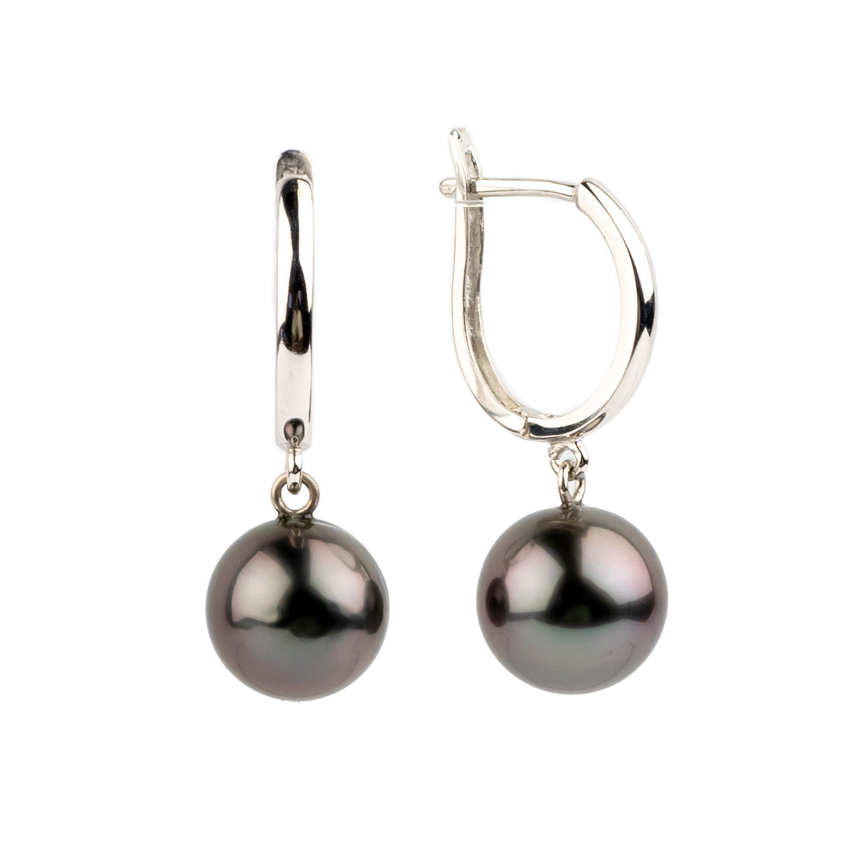 Midnight Aubergine 8.4mm Tahitian U-Hoop Earrings on 14k White Gold
