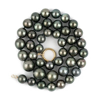 Stormy Blue-Green 9-12.7mm Tahitian Pearl Strand