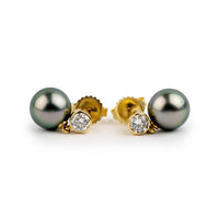 Tahitian Pearl & Diamond Nova Earrings on 14K Yellow Gold