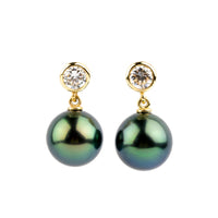 Tahitian Pearl & Diamond Nova Earrings on 14K Yellow Gold