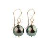 Flashy Peacock Tahitian Pearl Dangles on 14/20 Gold-Filled