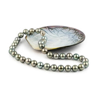 Seaglass Green 10.8-11.9mm Tahitian Pearl Choker Strand