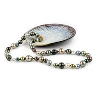 Tahitian Pearl Harvest Strand