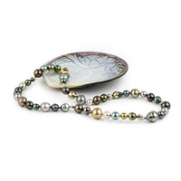 Tahitian Pearl Harvest Strand