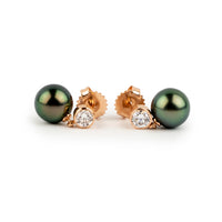 Tahitian Pearl & Diamond Nova Earrings on 14K Rose Gold