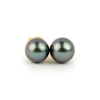 Amethyst Blue 8.4-8.9mm Tahitian Pearl Stud Earrings