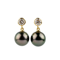Tahitian Pearl & Diamond Nova Earrings on 14K Yellow Gold