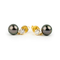 Tahitian Pearl & Diamond Nova Earrings on 14K Yellow Gold