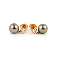 Tahitian Pearl & Diamond Nova Earrings on 14K Rose Gold