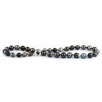 Lagoon Breeze 9.3-12.3mm Circled Tahitian Pearl Strand