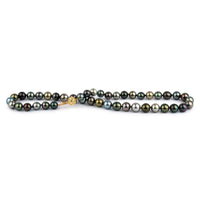 Bird of Paradise 9-10.8mm Tahitian Pearl Strand
