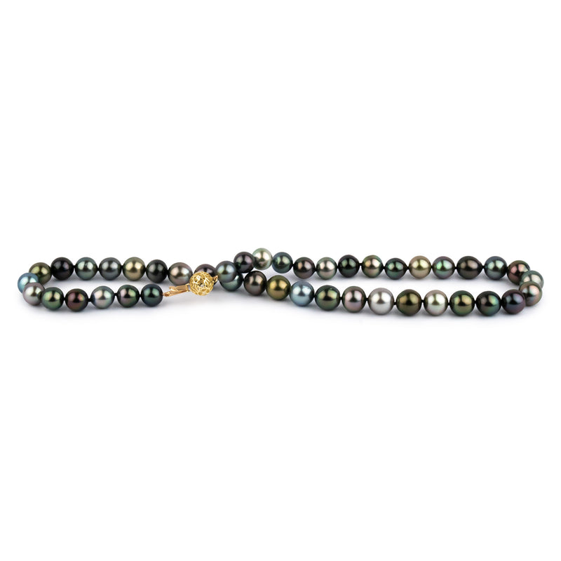 Bird of Paradise 9-10.8mm Tahitian Pearl Strand