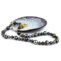 Tropical Rainforest 7-12.5mm Tahitian Pearl Strand