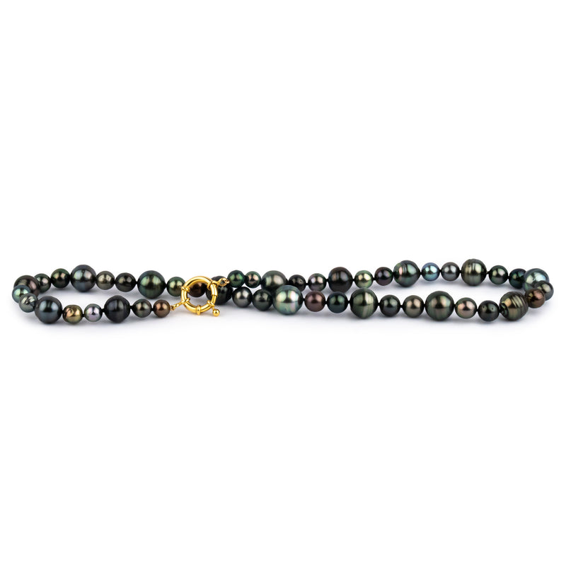 Tropical Rainforest 7-12.5mm Tahitian Pearl Strand