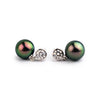 Tahitian Pearl & Diamond Nova Earrings on 14K White Gold